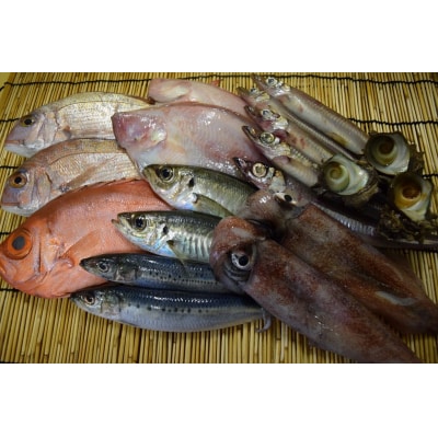 <土日祝着>おすすめ鮮魚詰め合わせ(4～5種類)【7～8月・年末年始配送不可】