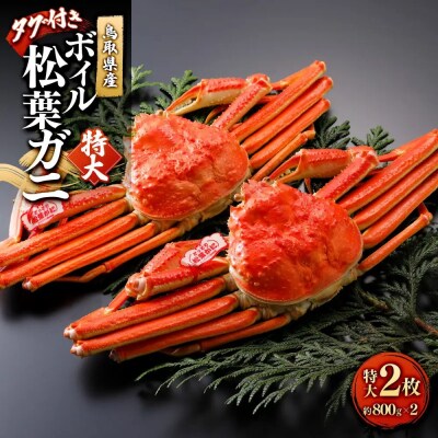 <11月中旬～2月下旬配送予定>鳥取県産　ボイル松葉ガニ(タグ付き)特大2枚