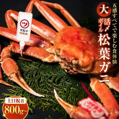 <土日祝着><11月上旬～配送予定>活〆ボイル松葉蟹(大/800g～)