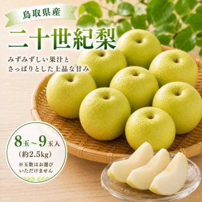 鳥取県産 二十世紀梨 約2.5キロ(8～9玉)