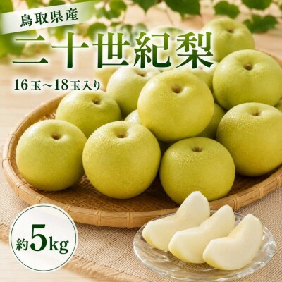 鳥取県産 二十世紀梨 約5キロ(16～18玉)