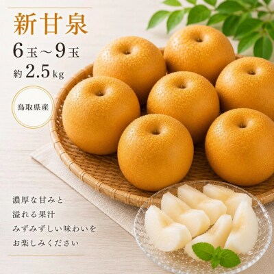 鳥取県産 新甘泉 約2.5キロ(6～9玉)