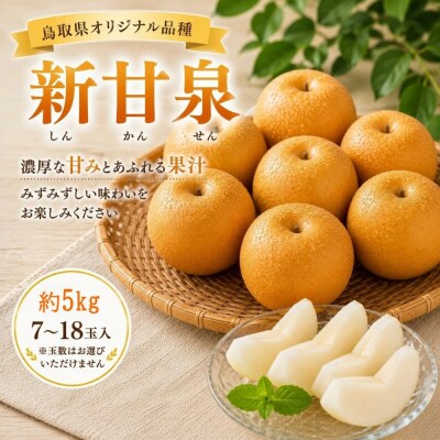 鳥取県産 新甘泉 約5キロ(7～18玉)