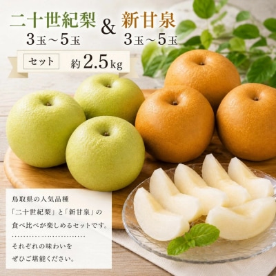 【食べ比べセット】鳥取県産 二十世紀梨 新甘泉 約2.5キロ