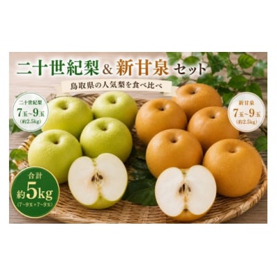 食べ比べセット】鳥取県産 二十世紀梨 新甘泉 約5キロ | 鳥取県境港市