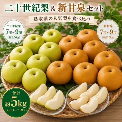 【食べ比べセット】鳥取県産 二十世紀梨 新甘泉 約5キロ