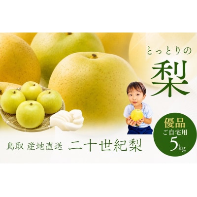 鳥取県産 梨 優品 ご自宅用 二十世紀梨 5kg