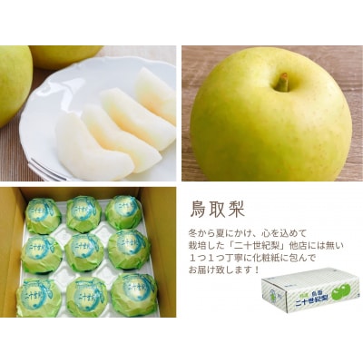 鳥取県産 梨 優品 ご自宅用 二十世紀梨 5kg