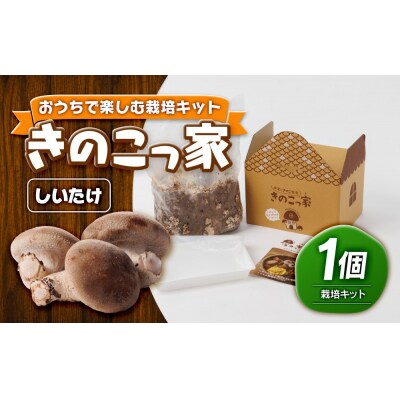 おうちで楽しむ栽培キット「きのこっ家」　しいたけ