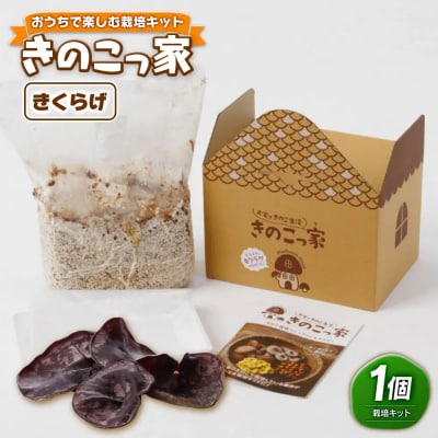おうちで楽しむ栽培キット「きのこっ家」　きくらげ　