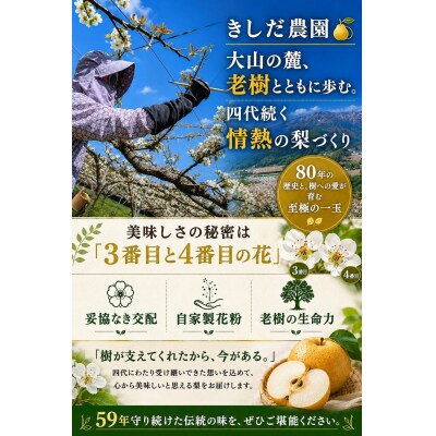 きしだ農園 二十世紀梨 進物5kg