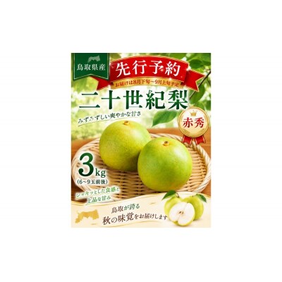 東商果樹園 二十世紀梨(赤秀)3kg
