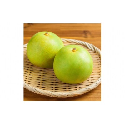 東商果樹園 二十世紀梨(赤秀)3kg
