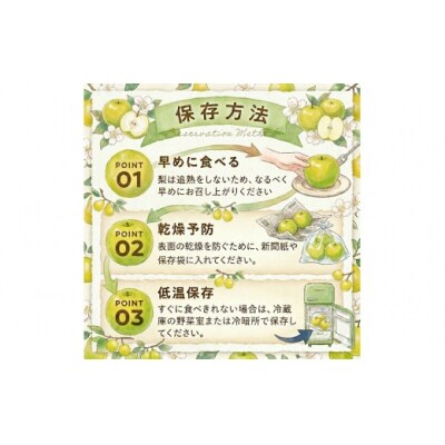 東商果樹園 二十世紀梨(赤秀)3kg