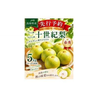東商果樹園 二十世紀梨(赤秀)5kg