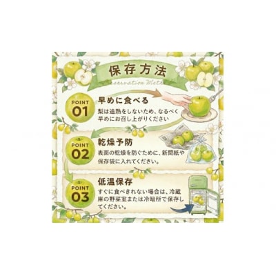 東商果樹園 二十世紀梨(赤秀)5kg