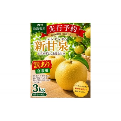 東商果樹園 新甘泉(訳あり)3kg