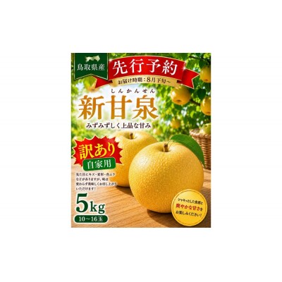 東商果樹園 新甘泉(訳あり)5kg