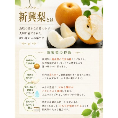 有梨の実石田 新興梨 進物5kg