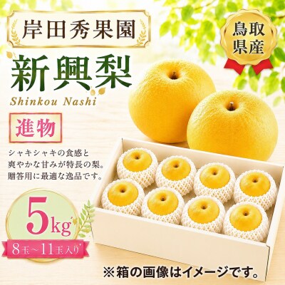 岸田秀果園 新興梨 進物5kg