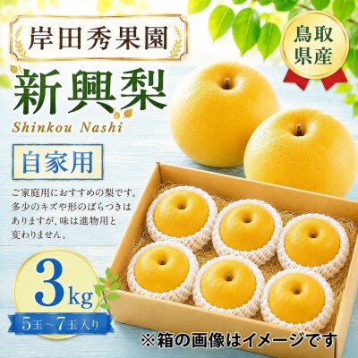 岸田秀果園 新興梨(自家用)3kg