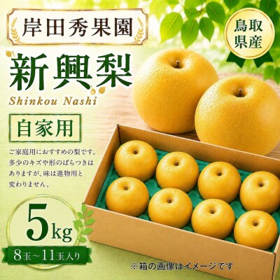 岸田秀果園 新興梨(自家用)5kg