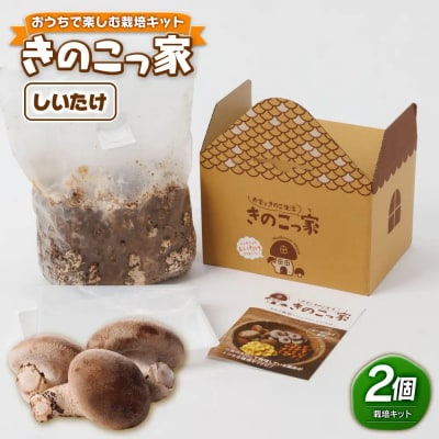 おうちで楽しむ栽培キット「きのこっ家」2個セット　しいたけ×しいたけ