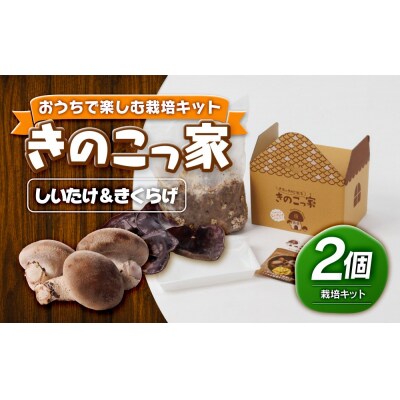 おうちで楽しむ栽培キット「きのこっ家」2種セット　しいたけ×きくらげ