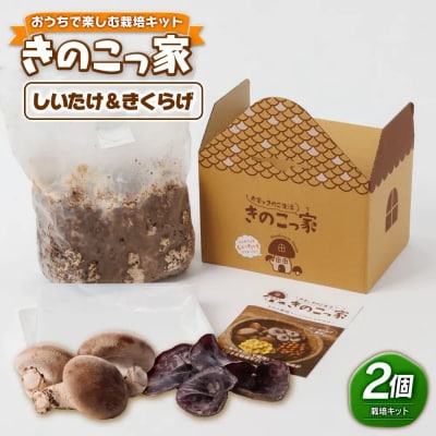 おうちで楽しむ栽培キット「きのこっ家」2種セット　しいたけ×きくらげ