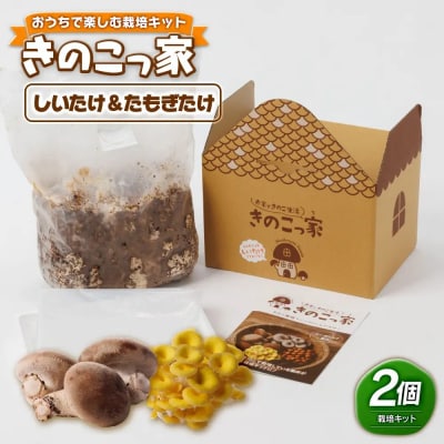 おうちで楽しむ栽培キット「きのこっ家」2種セット　しいたけ×たもぎたけ　