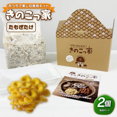 おうちで楽しむ栽培キット「きのこっ家」2個セット　たもぎたけ×たもぎたけ