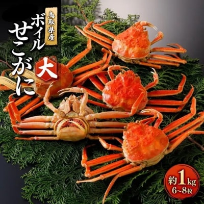 <11月中旬～12月上旬発送予定>鳥取県産 ボイルせこがに大1kg(6～8枚)