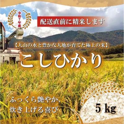 <令和7年産>山崎農園のこしひかり(精米・5kg)