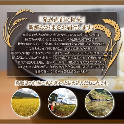 <令和7年産>山崎農園のこしひかり(精米・5kg)