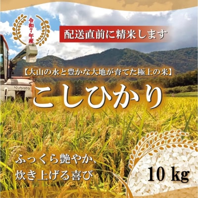 <令和7年産>山崎農園のこしひかり(精米・10kg) 