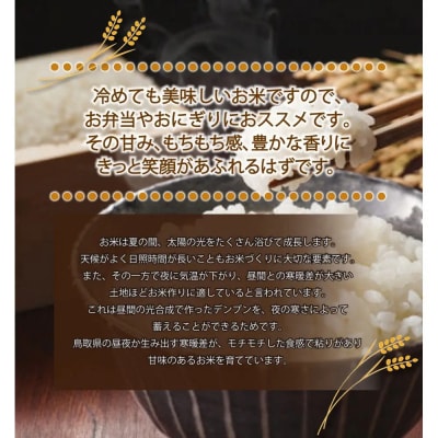 <令和7年産>山崎農園のこしひかり(精米・10kg) 