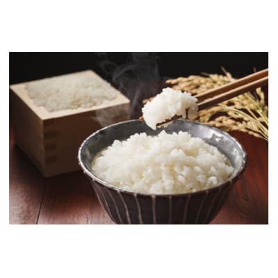 <令和7年産>原田農園のきぬむすめ(無洗米・10kg)
