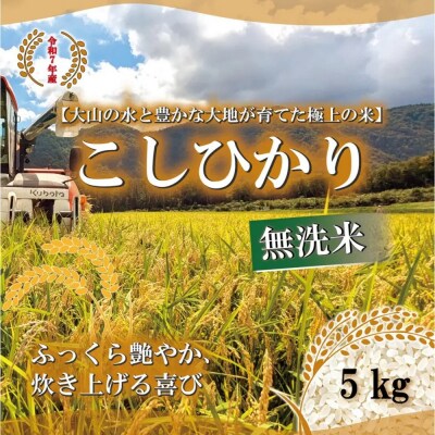 <令和7年産>山崎農園のこしひかり(無洗米・5kg)