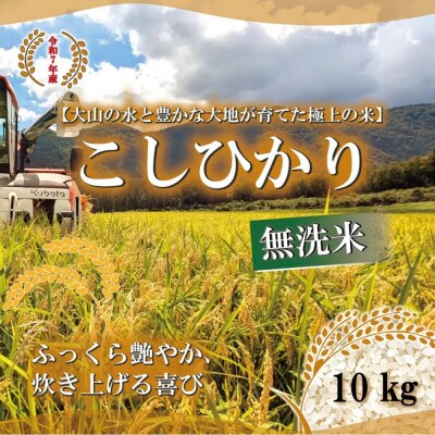 <令和7年産>山崎農園のこしひかり(無洗米・10kg) 