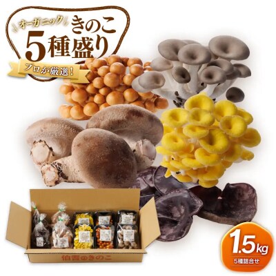 プロが厳選!オーガニックきのこ5種盛り(1.5kg)