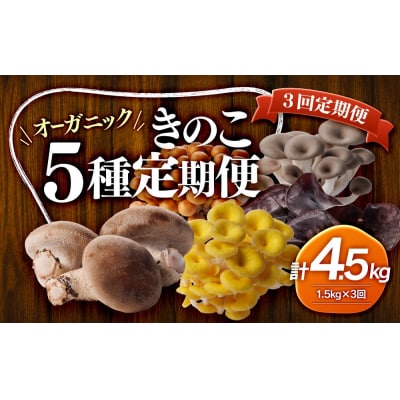 【3回定期便】オーガニックきのこ5種を3回に分けてお届け1.5kg×3　計4.5kg