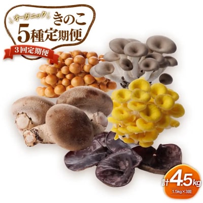 【3回定期便】オーガニックきのこ5種を3回に分けてお届け1.5kg×3　計4.5kg