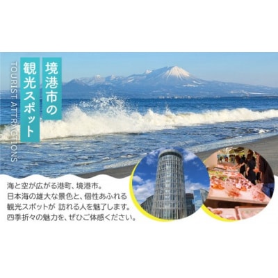 伯州綿イヤリング×ゴールド×茶(伯州綿色)