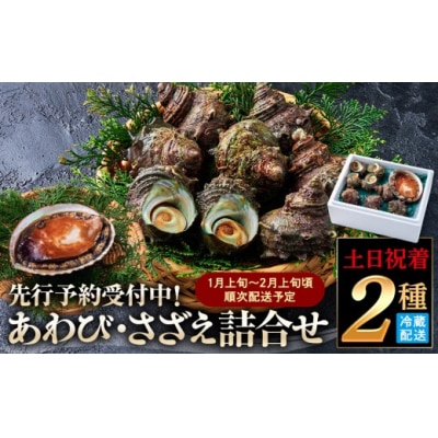 <土日祝着><1月上旬～2月上旬頃順次配送>あわび・さざえ詰合せ(2種)