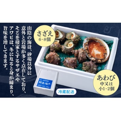<土日祝着><1月上旬～2月上旬頃順次配送>あわび・さざえ詰合せ(2種)