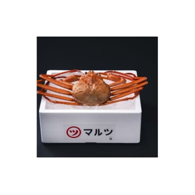 <定期便5回>蟹 境港産 松葉ガニ 紅ズワイガニ 旬 厳選