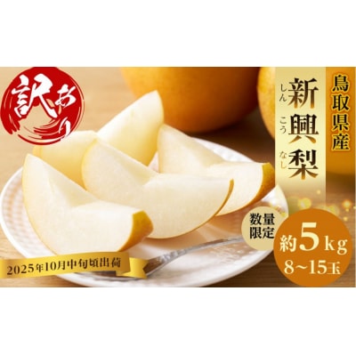 訳あり 数量限定 鳥取県産 新興梨(しんこうなし) 約5kg (8～15玉)
