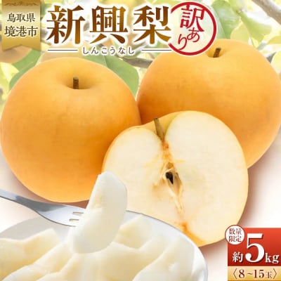訳あり 数量限定 鳥取県産 新興梨(しんこうなし) 約5kg (8～15玉)