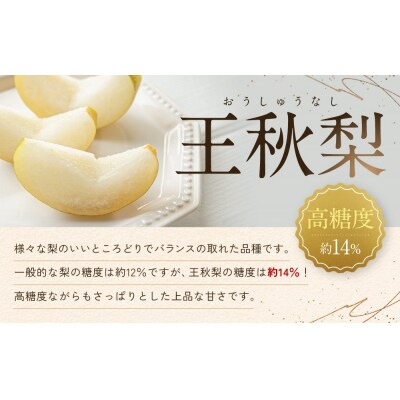 訳あり 数量限定 鳥取県産 王秋梨(おうしゅうなし) 約5kg (7～15玉)