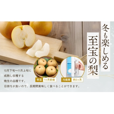 訳あり 数量限定 鳥取県産 王秋梨(おうしゅうなし) 約5kg (7～15玉)
